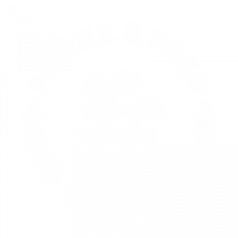 frank & fred casino